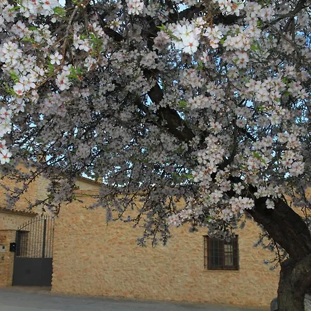 Alojamientos Rurales Cortijo Las Golondrinas Alhama de Murcia Exterior photo