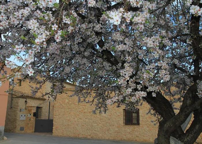 Alojamientos Rurales Cortijo Las Golondrinas
